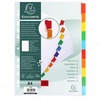 Exacompta 10 Part Div With Mylar Tabs