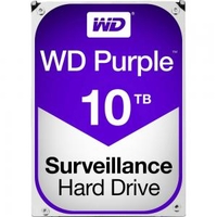 Hdd Int 10tb Purple Sata
