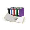 Rexel Karnival Lever Arch File A4 Assorted 10