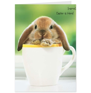 Hallmark Easter Card with a Bunny in a Cup