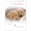 Hallmark Valentine
