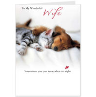 Hallmark Valentine