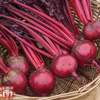 Beetroot 