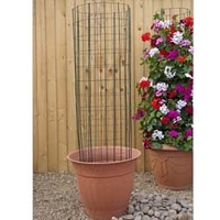 Climbing Frame Plant Support - 2 frames