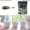 Foliage House Plant Potting Starter Pack