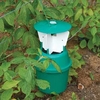 Raspberry Beetle Trap - 1 refill pack