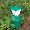 Raspberry Beetle Trap