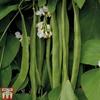 Runner Bean 