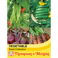 Vegetable Seed Collection