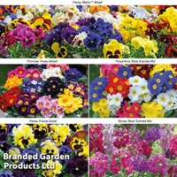 Winter Bedding Collection