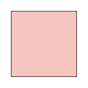 Lee Red 25 Poly CC Filter