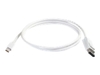 C2G Mini DisplayPort to DisplayPort 1.1 Cable with Latches - DisplayPort cable - mini-DisplayPort (M) - DisplayPort (M) - 2 m (DisplayPort 1.1 ) - latched - white