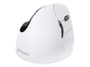 Evoluent VerticalMouse 4 Right Mac - vertical mouse - Bluetooth - white
