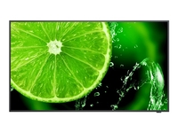 NEC MultiSync E658 E Series - 65" Class (64.5" viewable) LED-backlit LCD display - 4K - for digital signage