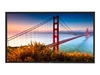 NEC MultiSync X552S X Series - 55" Class (54.5" viewable) LED display