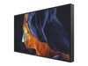 Philips 55BDL6002H H-Line - 55" Class (54.6" viewable) LED-backlit LCD display - Full HD - for digital signage