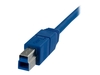 StarTech.com 10 ft / 3m SuperSpeed USB 3.0 Cable A to B - USB 3 A (m) to USB 3 B (m) (USB3SAB10) - USB cable - 3 m