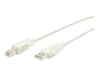 StarTech.com 10 ft Transparent USB 2.0 Cable - A to B - USB cable - USB (M) to USB Type B (M) - 10 ft - transparent - USBFAB10T - USB cable - 3 m