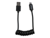 StarTech.com 1ft Coiled Lightning to USB Cable - Black - Apple 8 Pin Lightning Charger Cable for Your iPhone / iPad / iPod (USBCLT30CMB) - Lightning cable - Lightning / USB - 30 cm