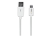 StarTech.com 3m (10ft) Long White Apple® 8-pin Lightning Connector to USB Cable for iPhone / iPod / iPad - Charge and Sync Cable (USBLT3MW) - Lightning cable - Lightning / USB - 3 m
