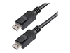 StarTech.com 7m DisplayPort Cable with Latches M/M - DisplayPort cable - 7 m