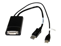StarTech.com DisplayPort to DVI Dual Link Active Converter - USB Powered video converter - black