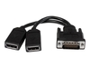 StarTech.com DMS-59 to DisplayPort - 8in - DMS 59 to 2x DP - Y Cable - DMS-59 Adapter - DisplayPort Splitter Cable - LFH Cable (DMSDPDP1) - display splitter - 20.3 cm