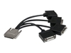 StarTech.com VHDCI to Quad DVI-D Splitter Breakout Cable - VHDCI (M) to 4 port DVI-D (F) Cable for NVIDIA & VisionTek Graphics Cards (VHDCI24DVI) - DVI cable - 22 cm