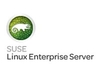 SuSE Linux Enterprise Server for HPC Compute Node - subscription - 1 node