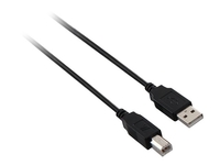 V7 - USB cable - USB to USB Type B - 1.8 m
