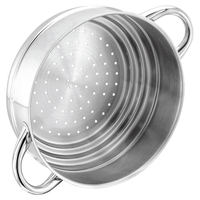 Stellar 1000 Open Multi Steamer