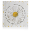 Wilko Daisy Wall Plaque 48x48cm