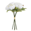 Wilko Peony Bunch Cream
