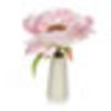 Wilko Peony Petal Shot Glass