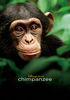 Chimpanzee: The Secret Life (SD)