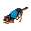 Approach Dog Backpack