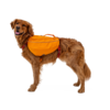 Approach Dog Backpack