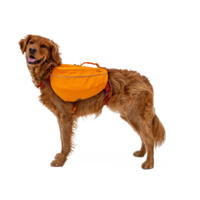 Approach Dog Backpack