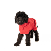 Brick Red Dog Drying Coat