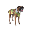 Camo & Grey Dog Coat