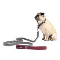 Soft Dog Lead