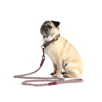 SP Rope Dog Lead