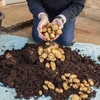 Complete Patio Potato Growing Kit