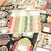 Graphic 45 Safari Adventure Complete Collection