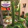 Pair of 1.2-1.4m Italian Cypress Trees with 50g Fertiliser