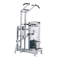 Cybex VR3 Dip and Chin Assist