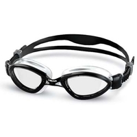 Head Tiger LSR Plus Goggles