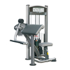 Impulse Elite Bicep Curl