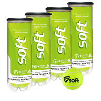 Tecnifibre Soft Mini Tennis Balls - 1 Dozen