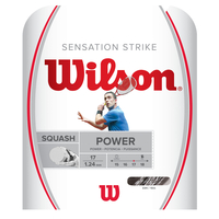 Wilson Sensation Strike Squash String Set